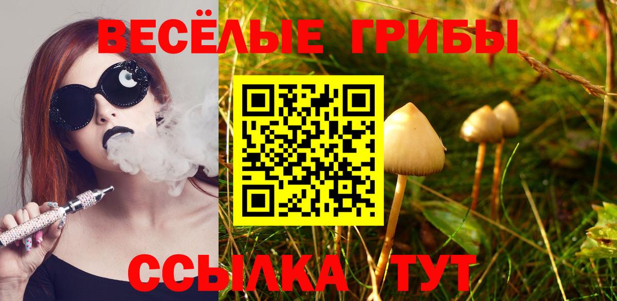 Галлюциногенные грибы GOLDEN TEACHER Воронеж