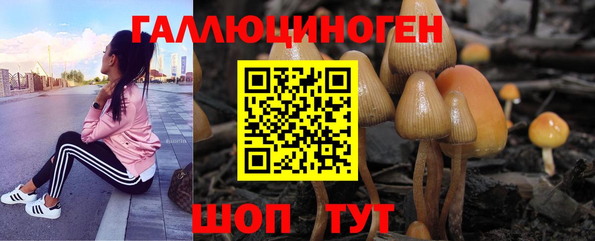 Псилоцибиновые грибы Cubensis  Галлюциногенные грибы Magic Shrooms  Вход с VPN  Воронеж 